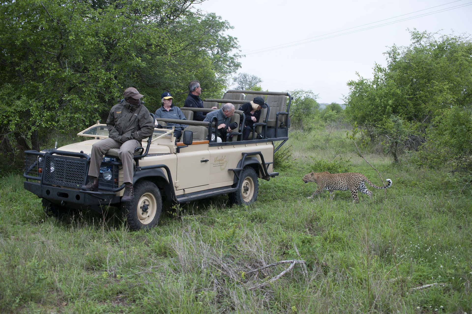 HR Leopard And Safari Vehicle Cheetah Plains Gamle Lodge (South Africa)(Copyrigth Thor Vaz De Leon) 01