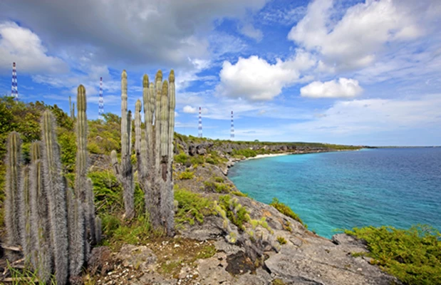 Bonaire fremstår som en perle blant de karibiske øyene, en oase av ro hvor naturens rikdom utfold...