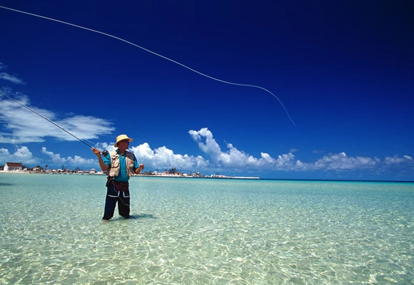 Dive Bahamas - Nassau, Andros & Bimini Island