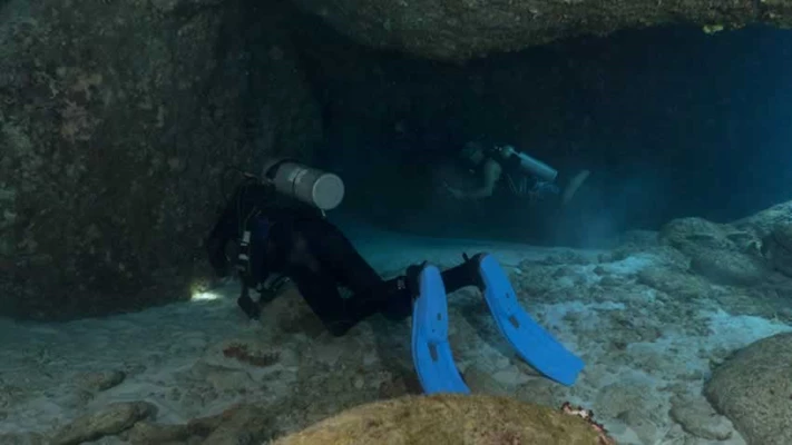 Dive the unexplored world of Christmas Island
