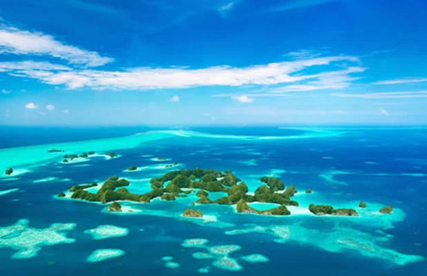 Palau er rett og slett en magisk destinasjon. For et såpass lite landområde, slår Palau godt fra...