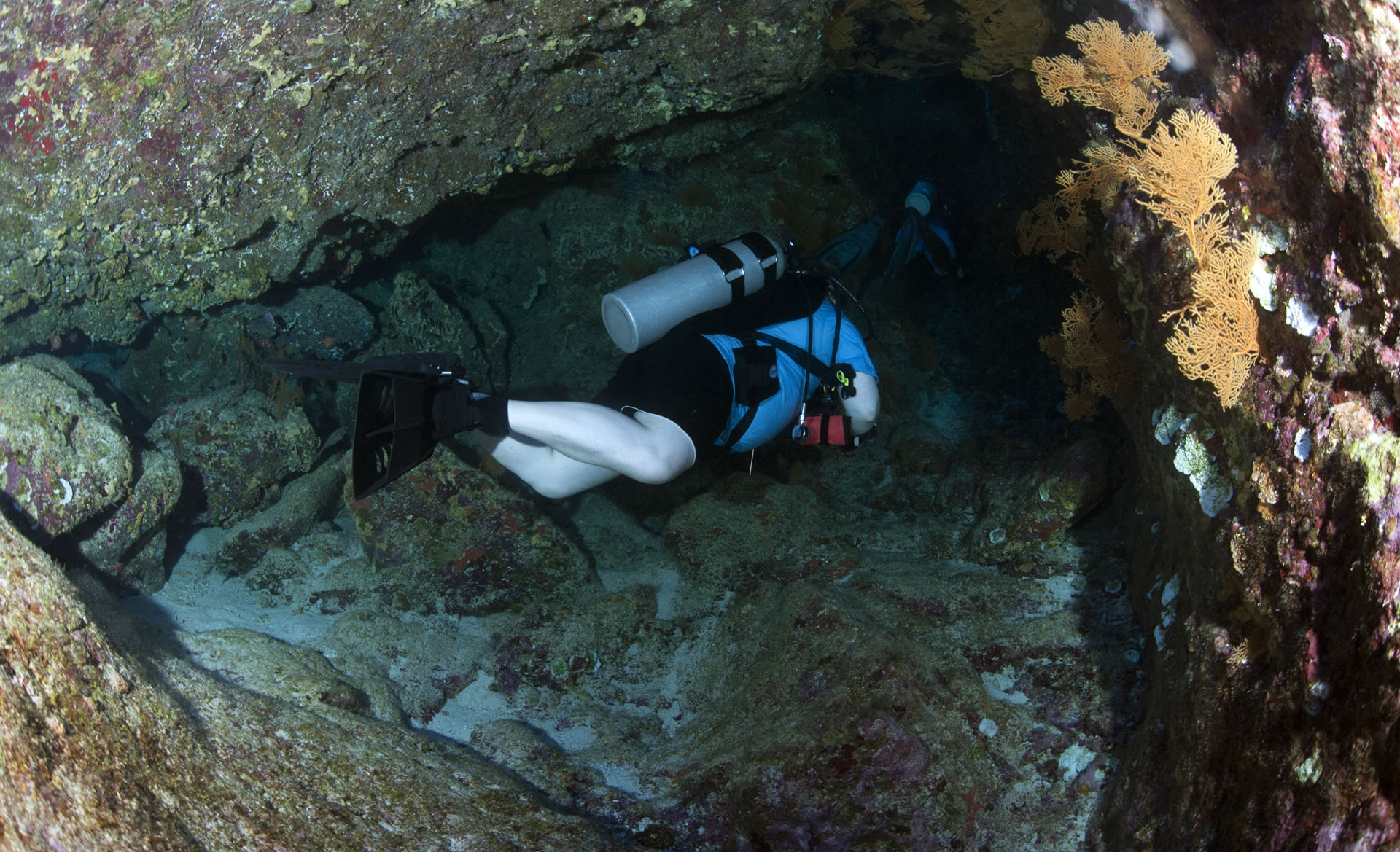 HR Diving The Grotto Saipan (Northern Mariana Islands)(Copyrigth Thor Vaz De Leon) 14