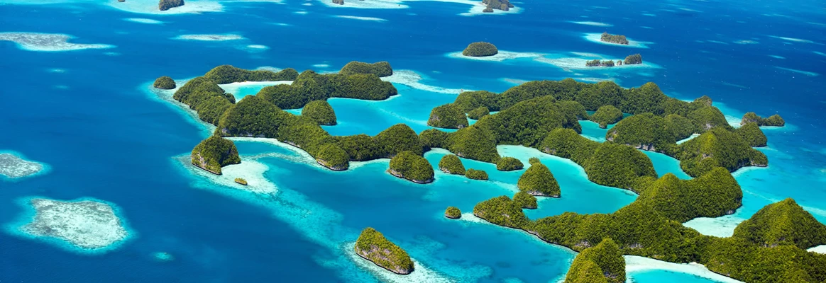 Palau | Hvor dykkere får alle våte drømmer oppfylt