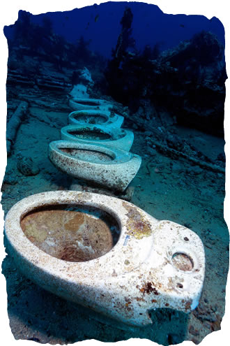 Wreck Diving in the Red Sea, Egypt