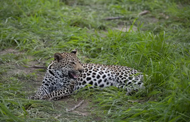 Drømmer du om et reisemål som pirrer nysgjerrigheten, vekker alle sansene, og samtidig gir deg op...